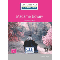 Madame Bovary, niveau 4...