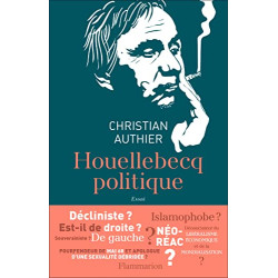 Houellebecq politique