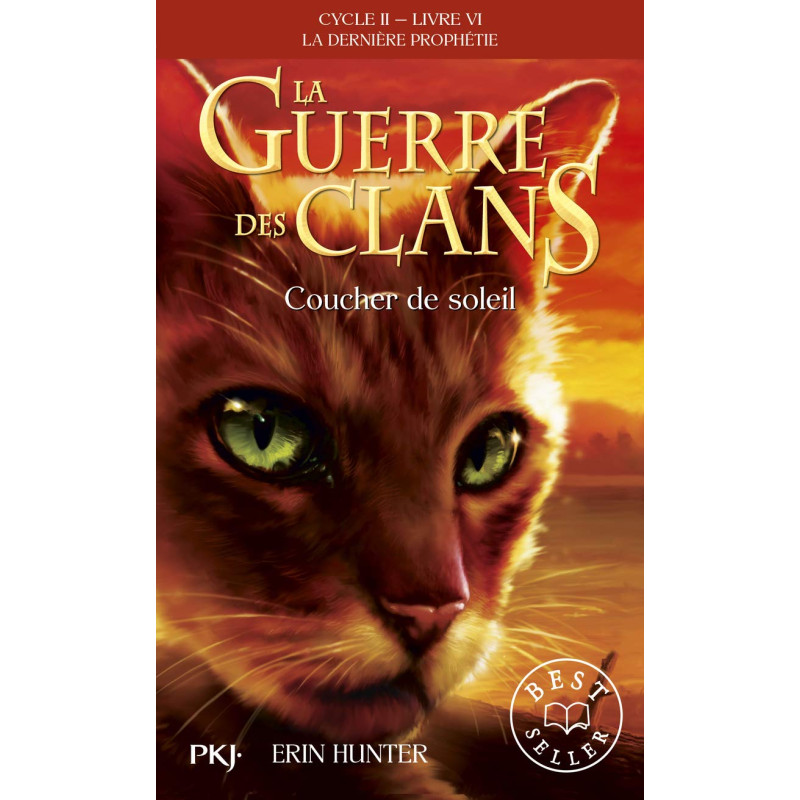 La Guerre Des Clans - Cycle II, Tome 06