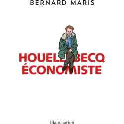 Houellebecq économiste