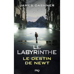 Le Labyrinthe - Le destin...