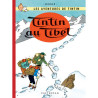 Tintin T20 Tintin au Tibet (petit format)