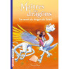 Maitres des dragons T02, Le secret du dragon du soleil