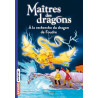 Maitres des dragons T07, À la recherche du dragon de Foudre