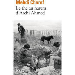 Le thé au harem d'Archi Ahmed