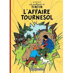 Tintin - L’affaire...