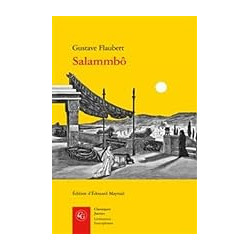 Salammbô (Classiques Jaunes)