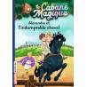 La cabane magique, Tome 44 - Alexandre et l’indomptable cheval