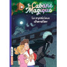 La cabane magique, Tome 2 - Le mystérieux chevalier
