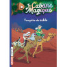 La cabane magique, Tome 29 - Tempête de sable