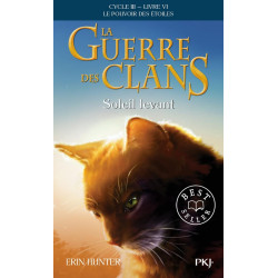 La Guerre Des Clans - Cycle...