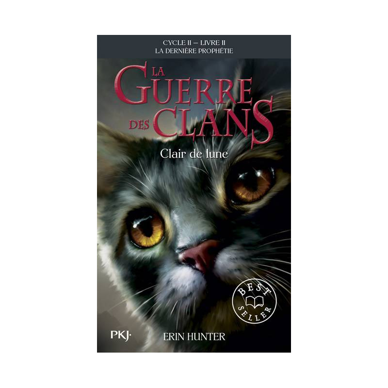 La Guerre Des Clans - Cycle II, Tome 02