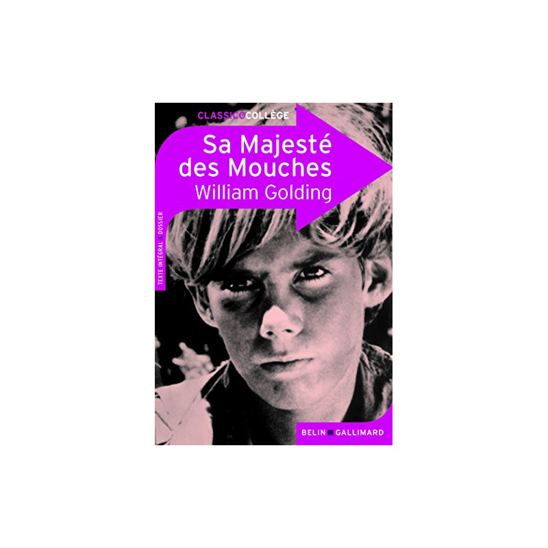 Sa majesté des mouches