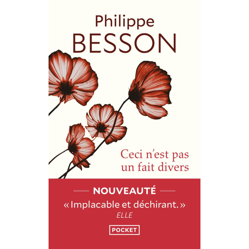 Ceci n'est pas un fait divers (poche)