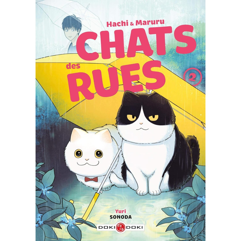 Hachi & Maruru Chats Des Rues - Tome 2