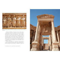 Palmyra - den uerstattelige skat (illustreret)