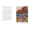 Palmyra - den uerstattelige skat (illustreret)