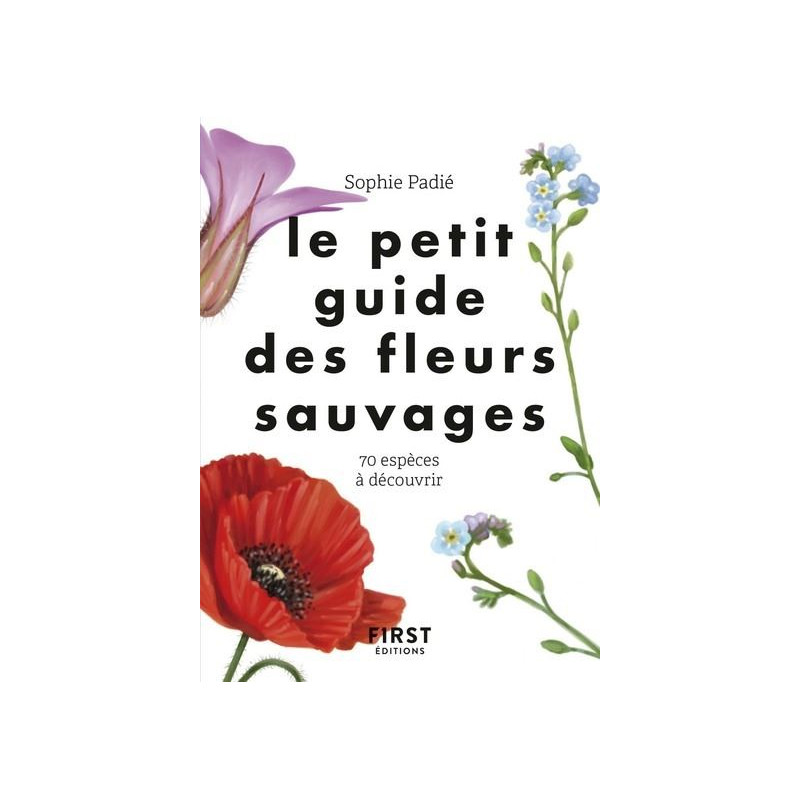 Le petit guide des fleurs sauvages