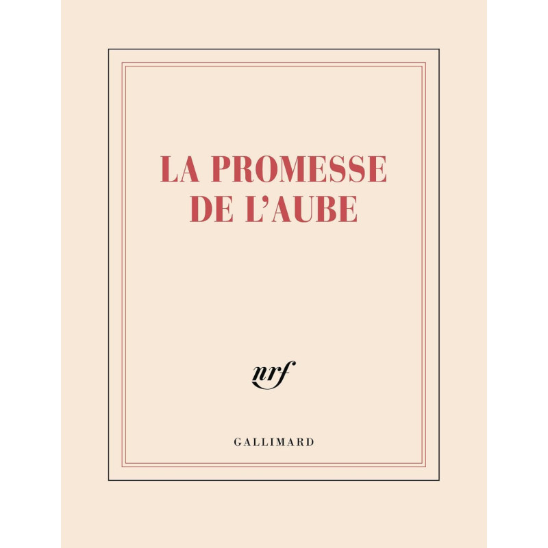 Carnet carré illustré «Le bonheur fou»