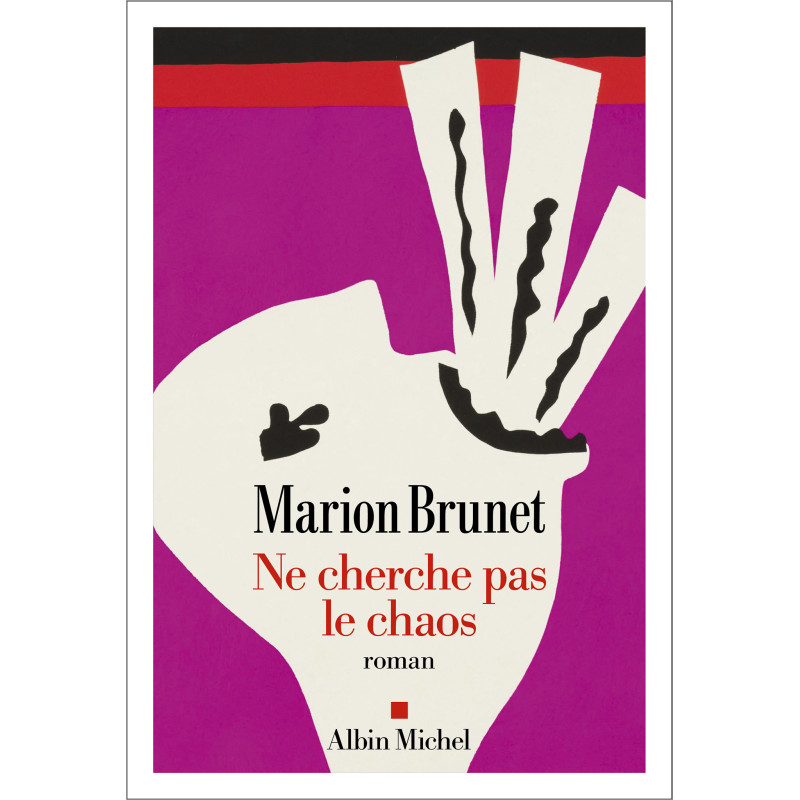 Ne cherche pas le chaos