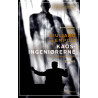 Kaosingeniørerne