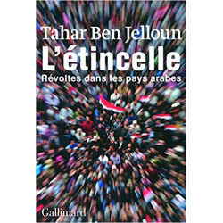 L'étincelle, révoltes dans...